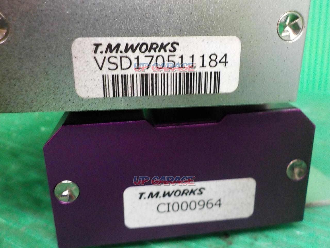 TMWORKS 16V Ignite VSD Alpha CI [C1002] | Electronics Parts 
